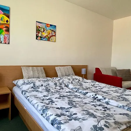 Apartment U Zamecku 108 *