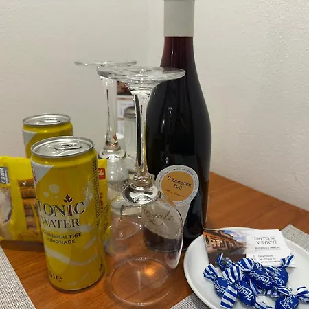 U Zamecku 108 *